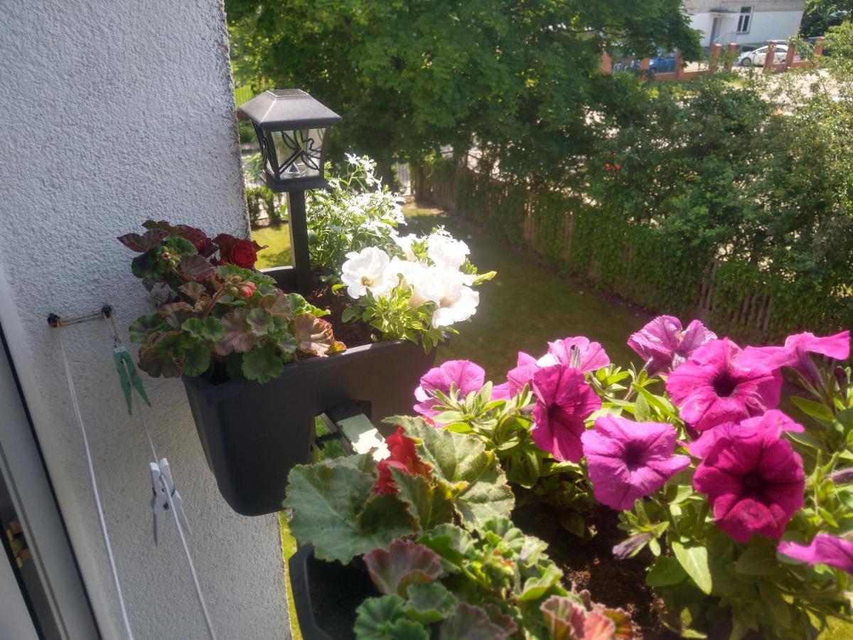 Apartament Olivia Centrum z zamknietym parkingiem Gdańsk Exterior foto